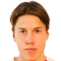 aapo hypponen