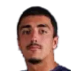 Vuk matejic