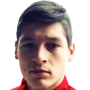 nemanja ahcin