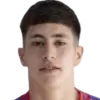 Joaquin Meneses