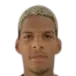 Raoni dos Santos Ramos