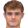 Dominik Foldi