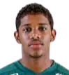 Robson Santos Do Carmo Junior