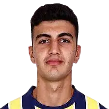 efe yigit demir