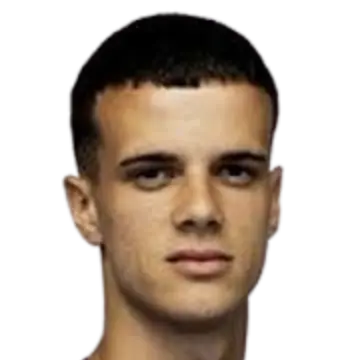luka nikolic