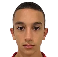 andrija bulatovic