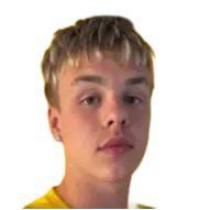 Robert Elli Vífilsson