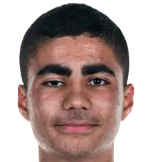Arda Temur