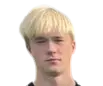 Akseli Aaltonen