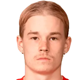 niilo pirttinen