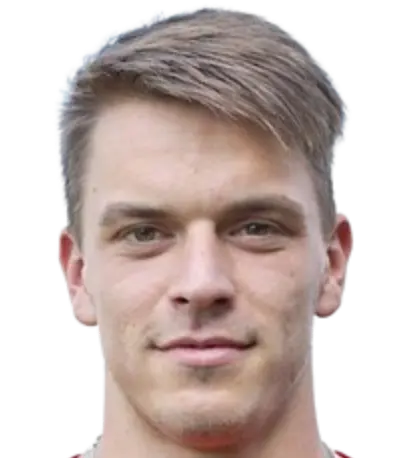 Robin holik