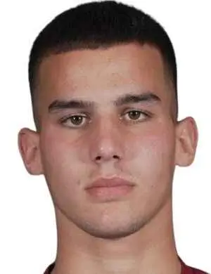 dimitrije minic