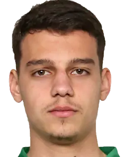 Mitja Krizan