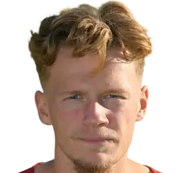Joel Voelkerling Persson