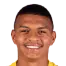 Luiz Henrique Soares Firmino