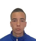 Sava milic