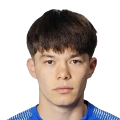 Wang Hanlong