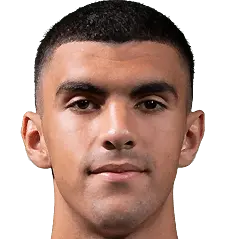 Luka lecic