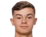 Fred bozicevic