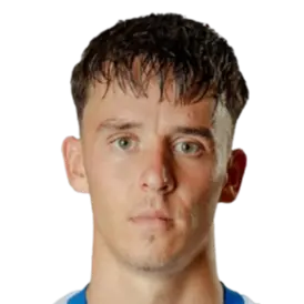Dominik Holaň