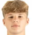 Remo valdmets