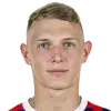 Luka Janes
