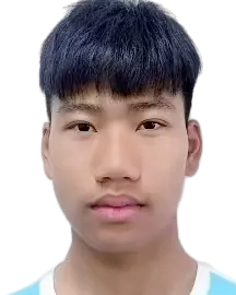 Yin Jianlei