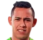 Rodrigo Vargas