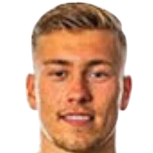 Bram de Bruin