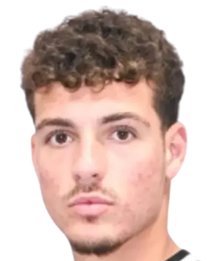 Thanasis Papanikolopoulos