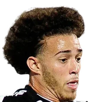 Lucas Figueiredo dos Santos