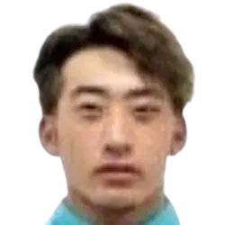 Wang Yihong