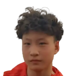 Zhang Bolin