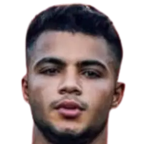 Mostafa Saad Abdallah Sayed