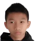 Wei Chengzhi