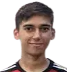 Diego Rosales Illanes