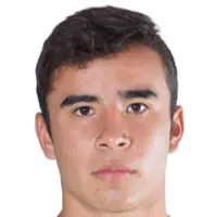 Fernando Illescas