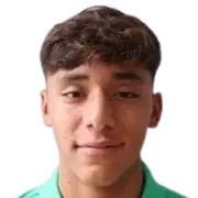 Nelson Cedillo