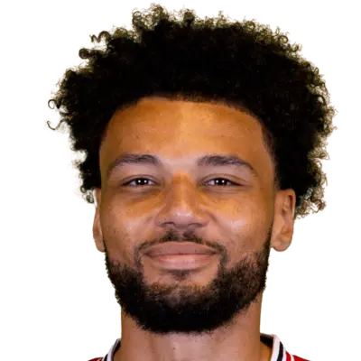 Lee Angol