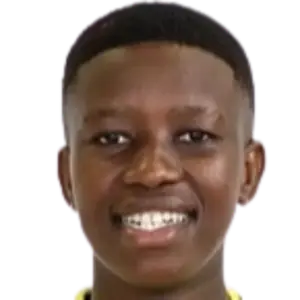 Sibulele Holweni