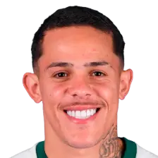 Wallisson Luiz Alves Máximo