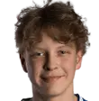 Peetu Kerminen