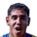 Joelson Manuel Gamarra Arbiniagaldez