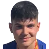 Tarik Kerimi