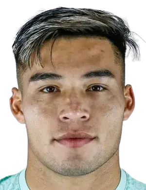 Sebastian Tomas Meza