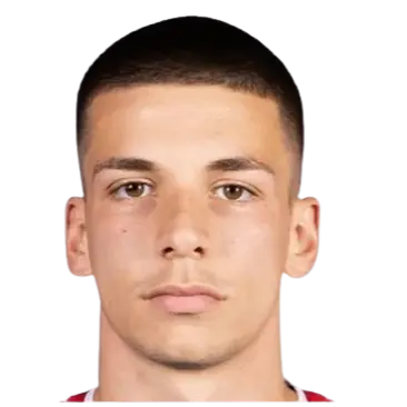 L Radojevic