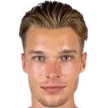 Luis Muller