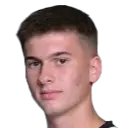 Luka Vrzic