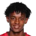 Bruno Braga Ramos