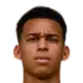 Deivison Souza Brito
